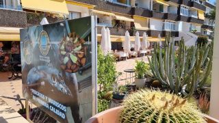 2024-01-Paseo_Costa_Canaria-San_Agustin-Ingles-003.jpg